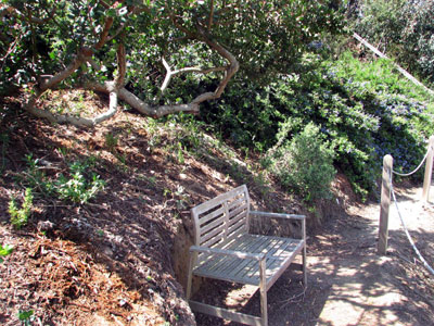 Sitting area along path