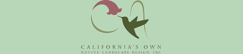 Cal Own logo header