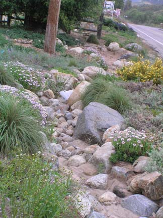 Rockwork, streambed, and natives